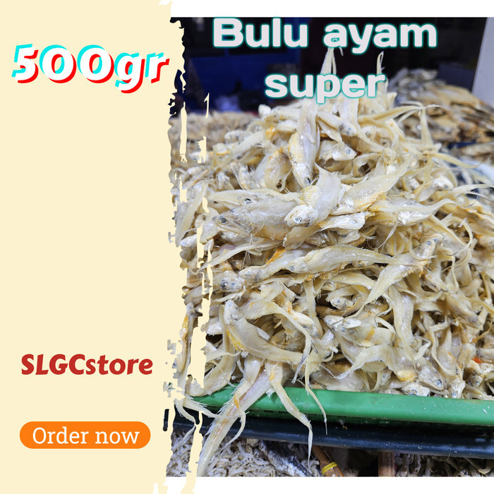 

ikan asin bulu ayam 500gr A9