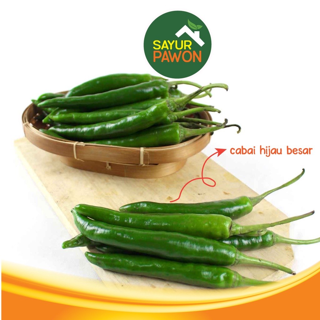 

CABE HIJAU TEROPONG / BESAR 100 gram