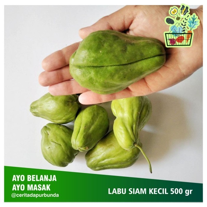 

LABU SIAM KECIL / LABU SIAM BABY per 500 gram