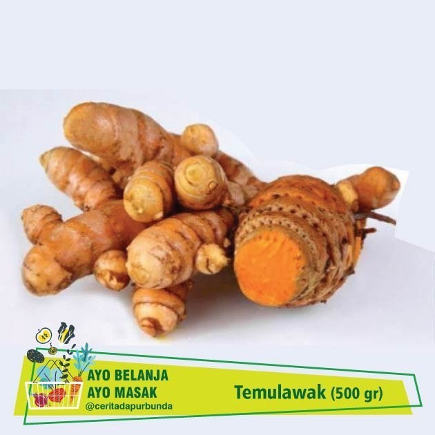 

TEMULAWAK 250 gram