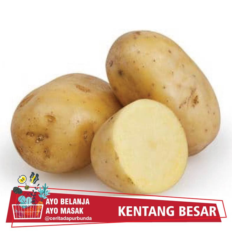 

Kentang Besar 500 Gram