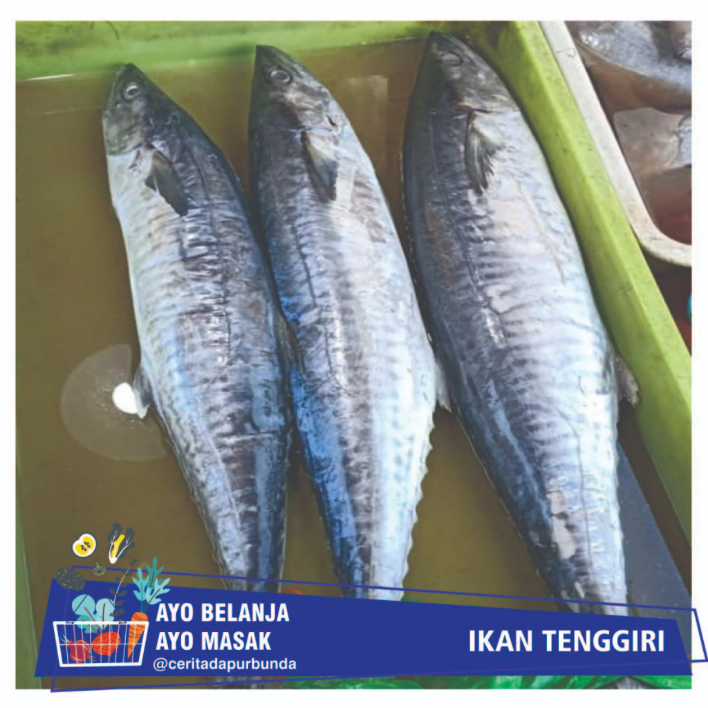 

Ikan Tenggiri / 500 gr ( produk pasar tradisional )