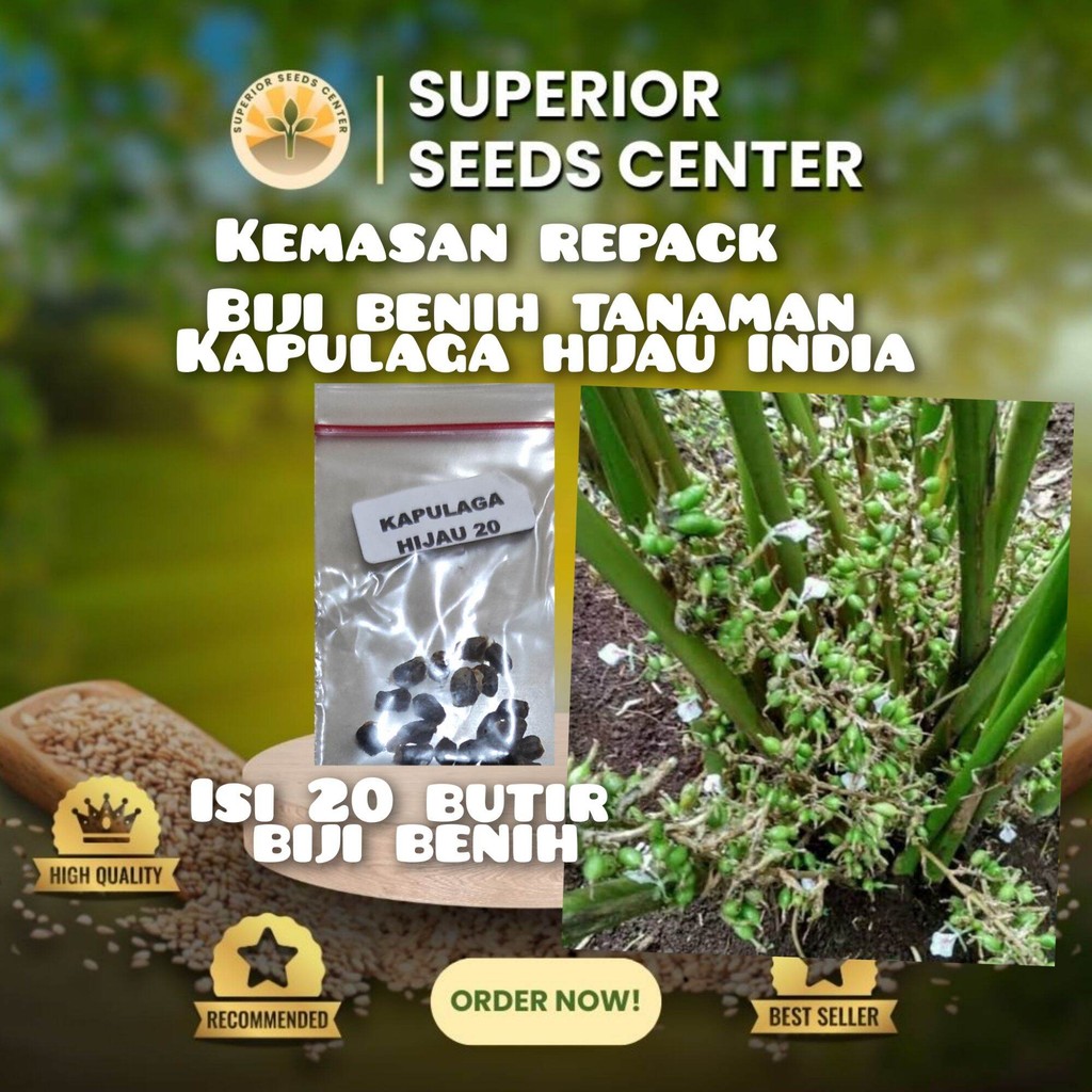 20 butir biji benih tanaman kapulaga hijau india (kemasan repack plastik klip)