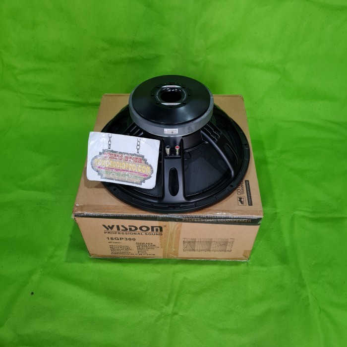 wisdom l18p300 speaker component