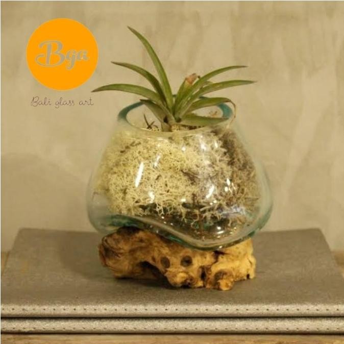 Aquarium alas kayu/kaca tiup/fas vas bunga kaca aquascape AQUARIUM BS01