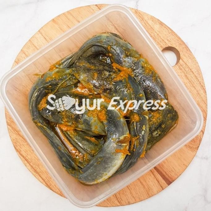 

Kirim Instan Lele Bumbu Kuning 10 Ekor [Terlaris] [Terbaru]