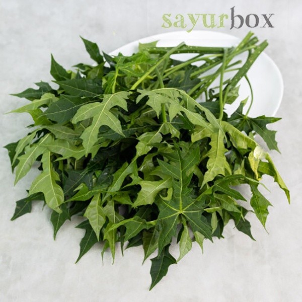 

Daun Pepaya Jepang Konvensional 250 gram Sayurbox