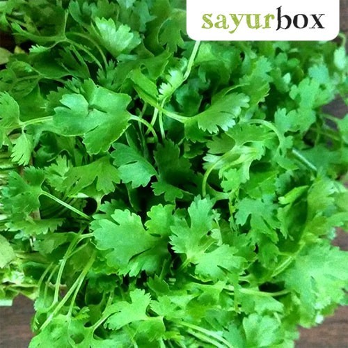 

Daun Ketumbar Konvensional 1 kg Sayurbox