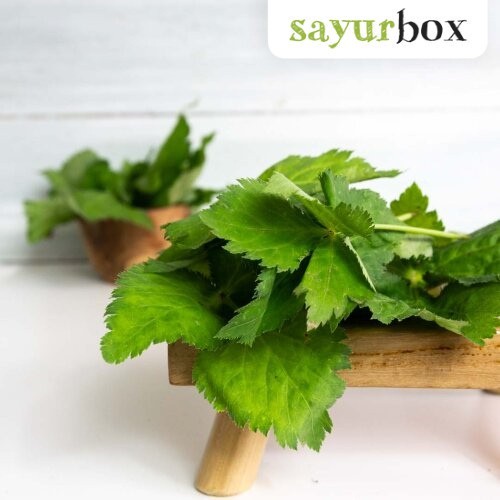 

Mitsuba Konvensional 35 gram Sayurbox