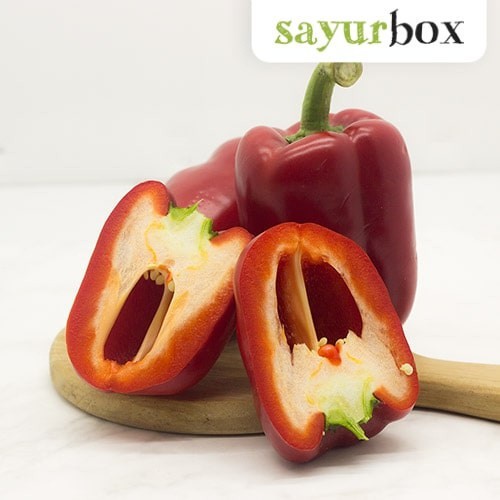 

Paprika Merah Konvensional 1 pcs Sayurbox