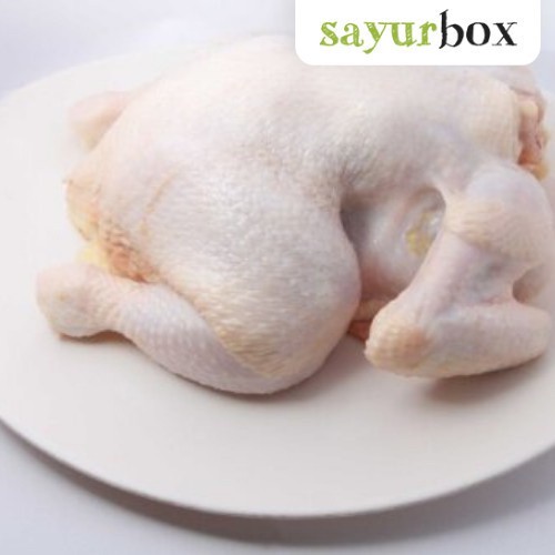 

Ayam Utuh 750 gram Sayurbox