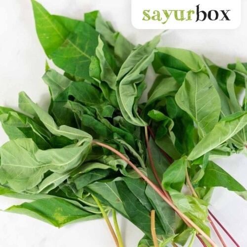 

Daun Singkong Konvensional 250 gram Sayurbox