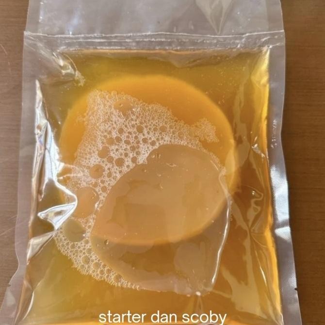 

NEW PRODUK KOMBUCHA BABY SCOBY SEHAT AKTIF + STARTER USIA MINIMAL 1 BULAN !!!!!