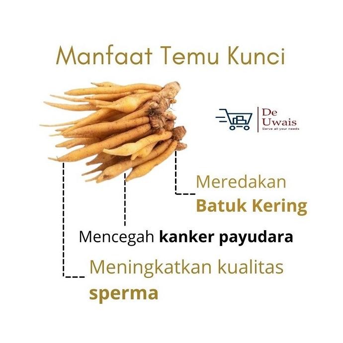 

Temu Kunci Bubuk Langsung Seduh/Bahan Jamu Herbal Obat Batuk dan Maag