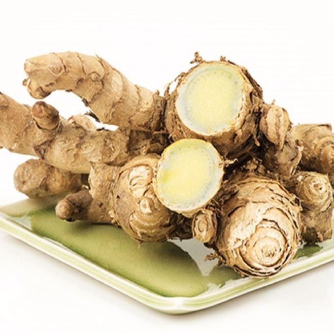 

Temu Ireng Kering Rempah Jamu Herbal Tradisional Kencing Nanah Ambein