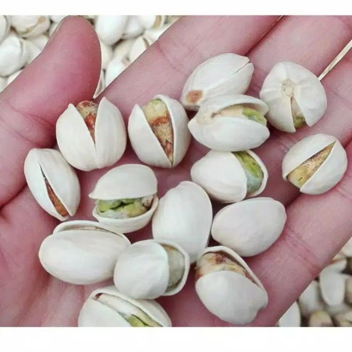 

Kacang Pistachio 1 Kg