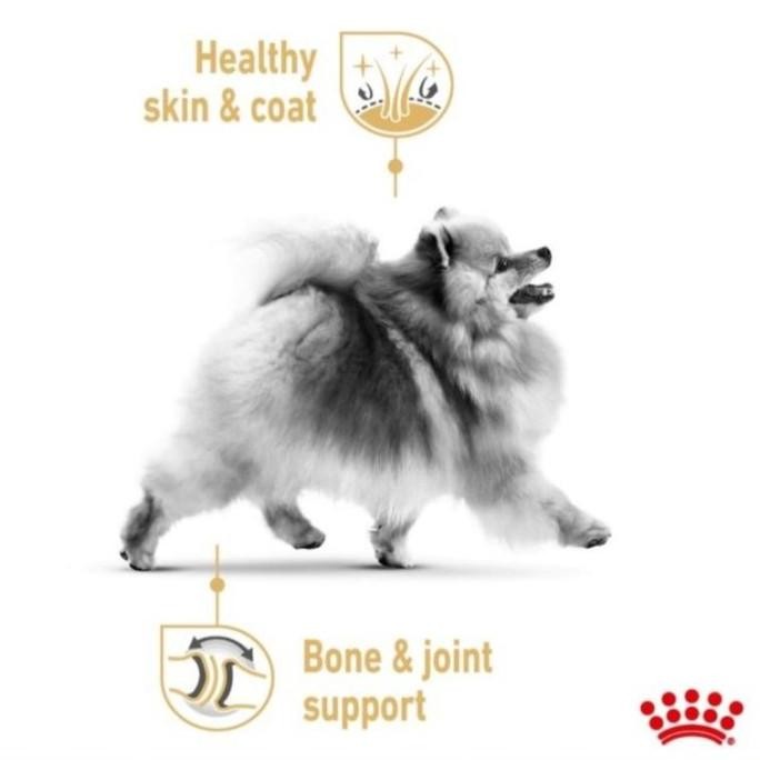 Royal Canin Pomeranian Adult 500Gr Makanan Dogfood Anjing Mini Pom