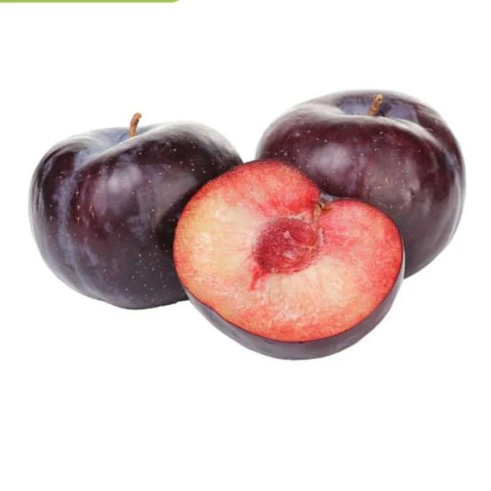 

PAYUFRESH | Buah Plum 100% Fresh