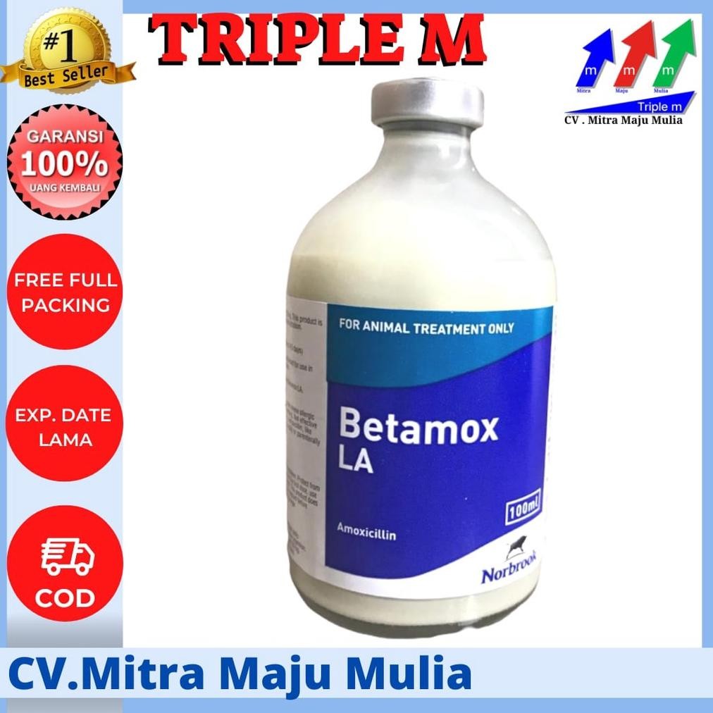 Terlaris Betamox La 100Ml Inj BisaCod