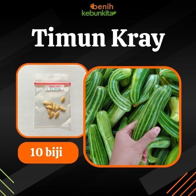 Bibit Tanaman Buah TImun Krai Mentimun Kray ATY