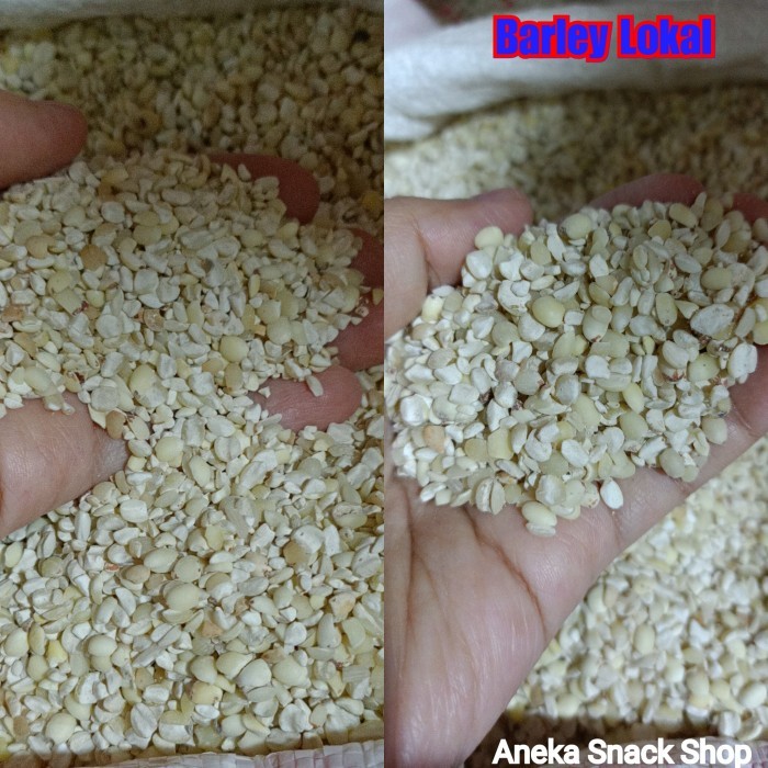 

Pearl Barley Lokal / Jelai / Biji Jali Jali / Iu Bi / Hanjeli / Anjeli