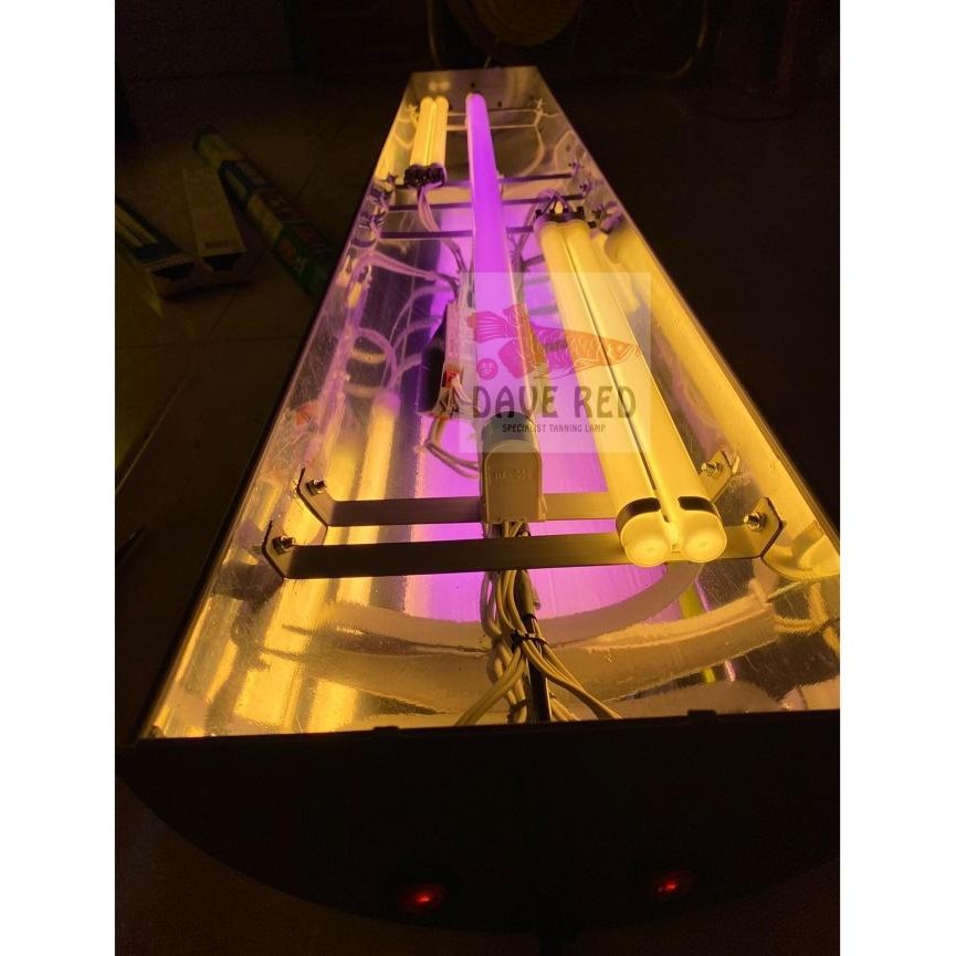 2 PLL 1 Jebo Lampu Tanning Arwana Medium Soft Tanning Cahaya Matahari