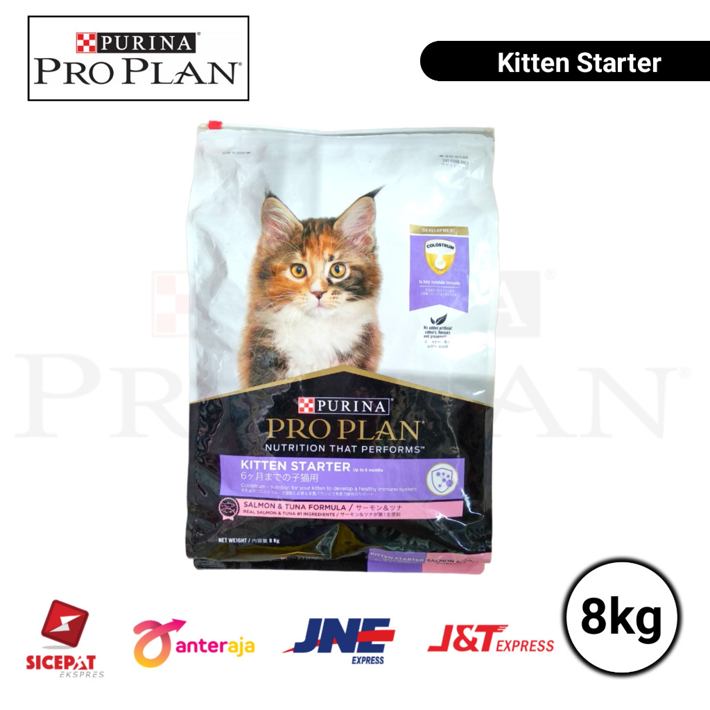 PROPLAN KITTEN STARTER 8 KG EKSPEDISI