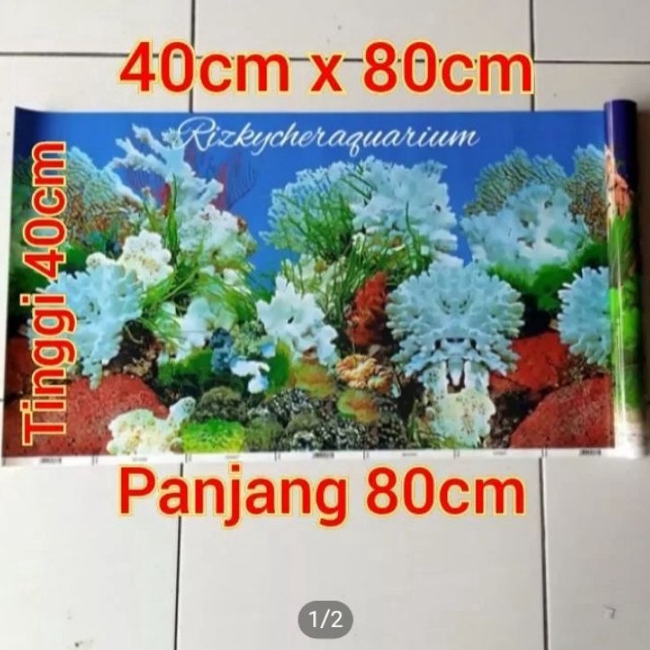 Promo wallpaper gambar aquarium 40 X 80cm tinggi 40cm panjang 80cm Terkini