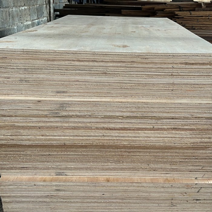 TRIPLEK 12MM 122X244