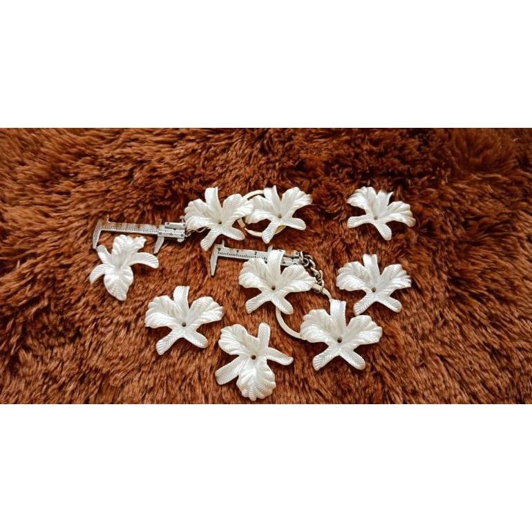 

Diskon 1/4 Pon Daun Anggrek Kecil Ra Isi Kurang Lebih 68 Pc