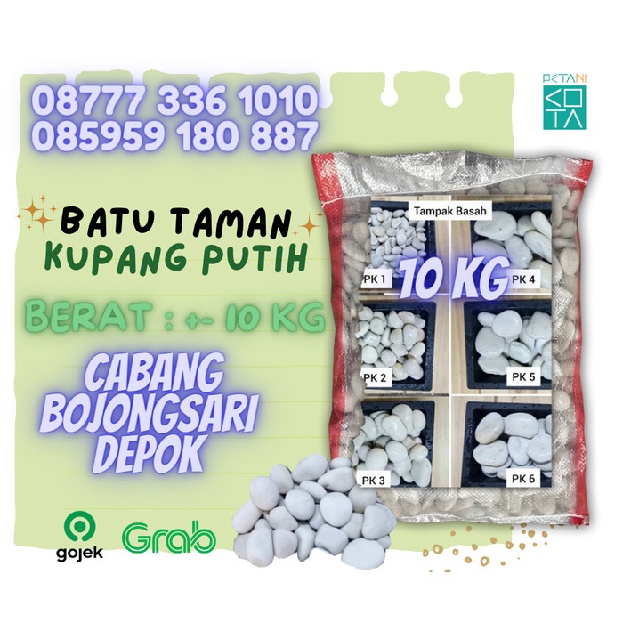 Terlaris Batu Taman Hias Koral Putih Sebesar Koin 500An Karungan +- 11 Kilo