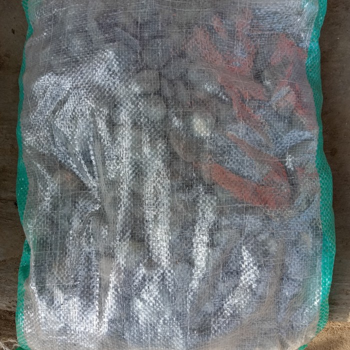 [Hiasan] Batu Koral Sikat Hitam/Pancawarna 10 Kg [Taman]