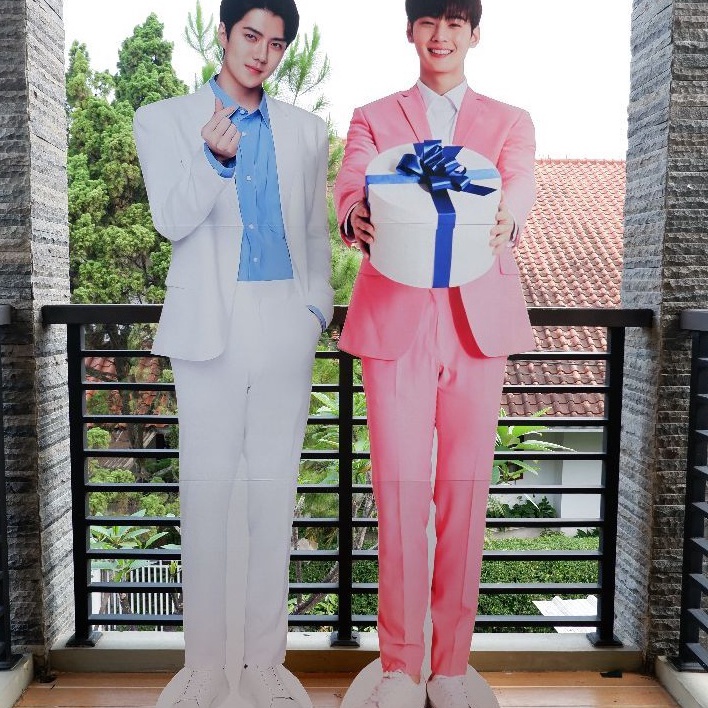 Stok Banyak Standee Custom Real Size / Human Stande Figure Besar / STANDEE KPOP Kirim Langsung
