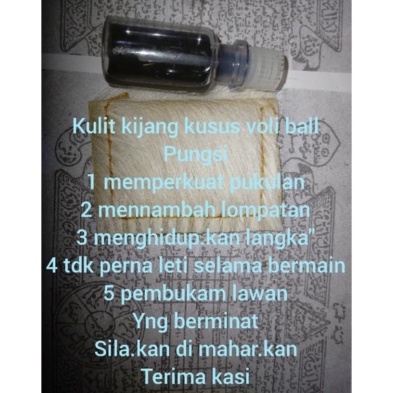 Terkini kulit kijang Puti kusus voli ball y Special Edition ★★★.