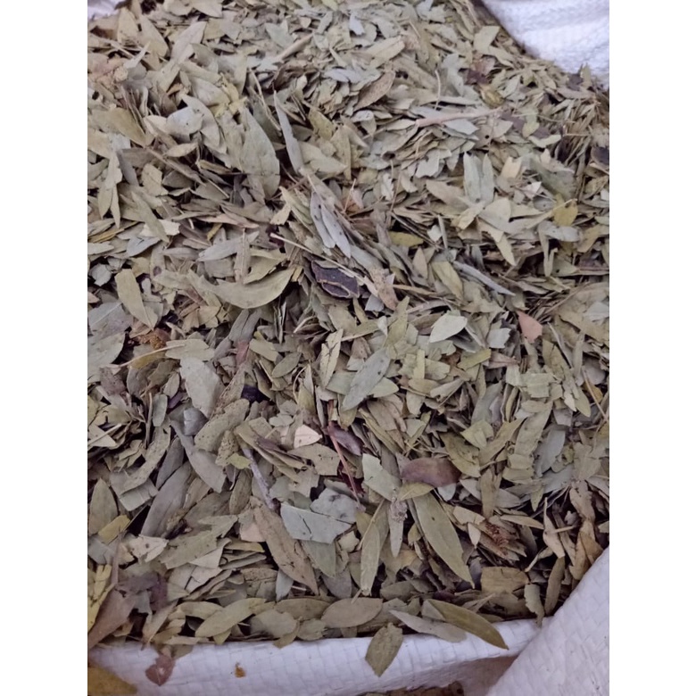 

Daun jati cina kering 1/2kg