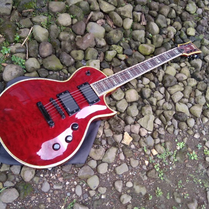 Gitar ESP LTD EC-1000 See Thru Black Cherry