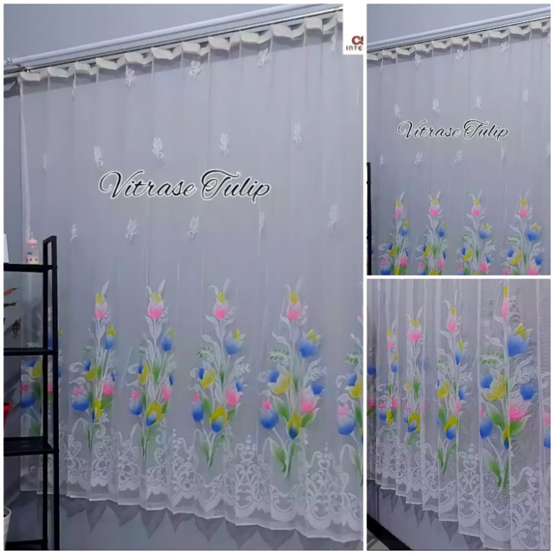 Gorden Vitras Transparan tulip warna