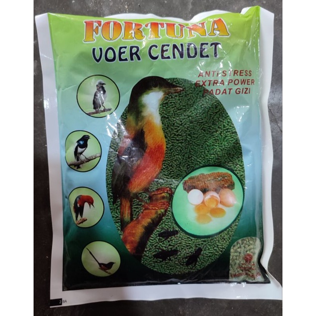 fortuna cendet - pakan burung cendet - pakan pentet - pentet wonosari - cendet banyuwangi - pentet b