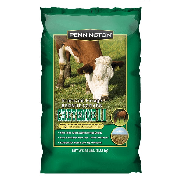 benih rumput pakan ternak 100gram-benih rumput pakan hewan