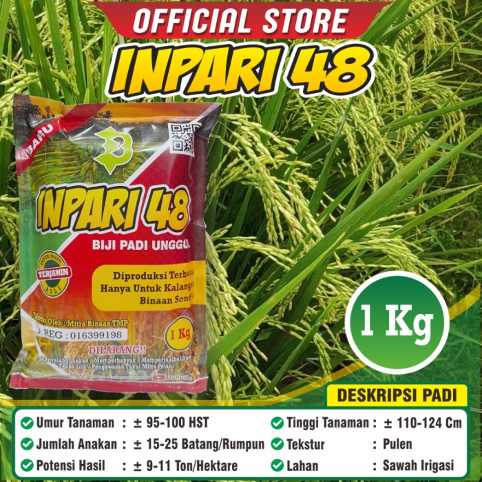 Benih Padi Inpari 48