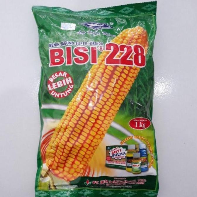 Benih jagung bisi 228 1 kg 4.522 super hibrida ori hologram pabrik