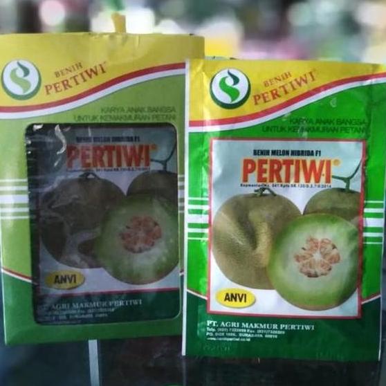 Benih Tanaman Melon Pertiwi ANVI 600 biji Bibit Tumbuhan Buah Hibrida