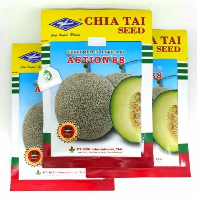 Benih Melon ACTION 434 550 Biji Benih Bibit Hibrida F1 Kapal Terbang