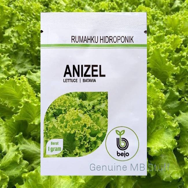 Benih Bibit Selada Keriting Anizel Naked Seed Bedjo 1 gr isi Ribuan