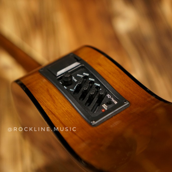 Gitar Akustik Elektrik Yamaha F310 Original