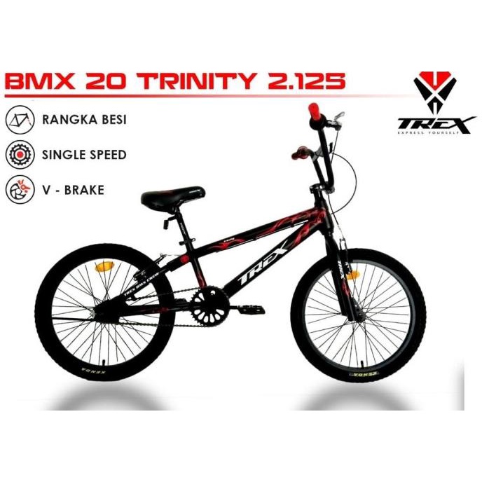 Fs Sepeda Anak 20 Bmx Trex Trinity 2.125 (Grab/Gojek/Cargo)