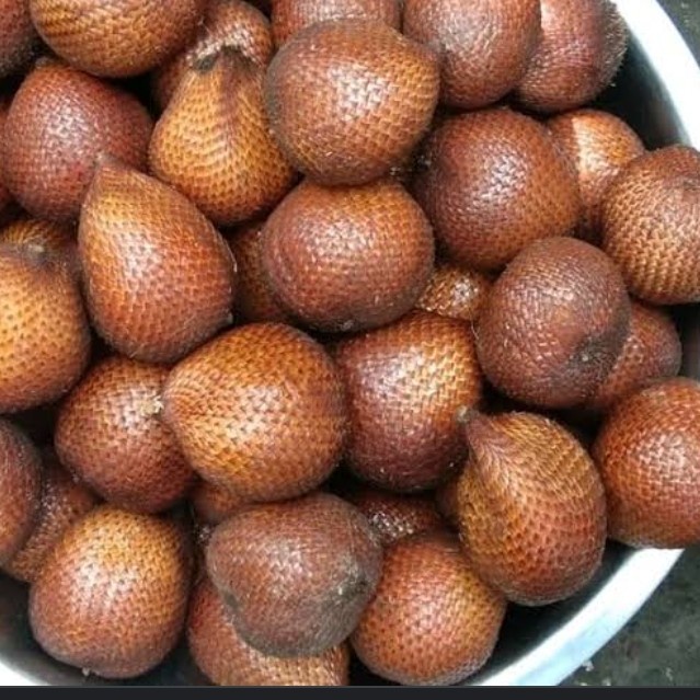 

Salak Bali rasa asem manis 1 kilo