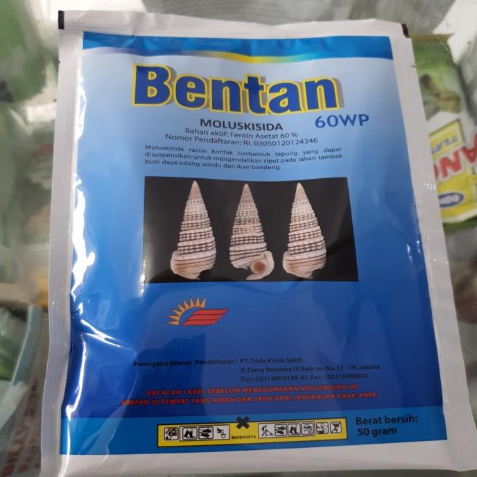 /////] bentan 60 wp 50 gram