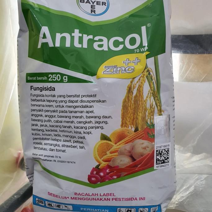 ] fungisida antracol 250 gram