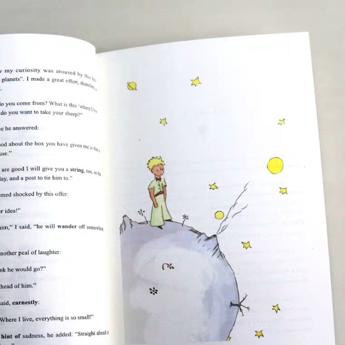 

The little prince illustrated english version